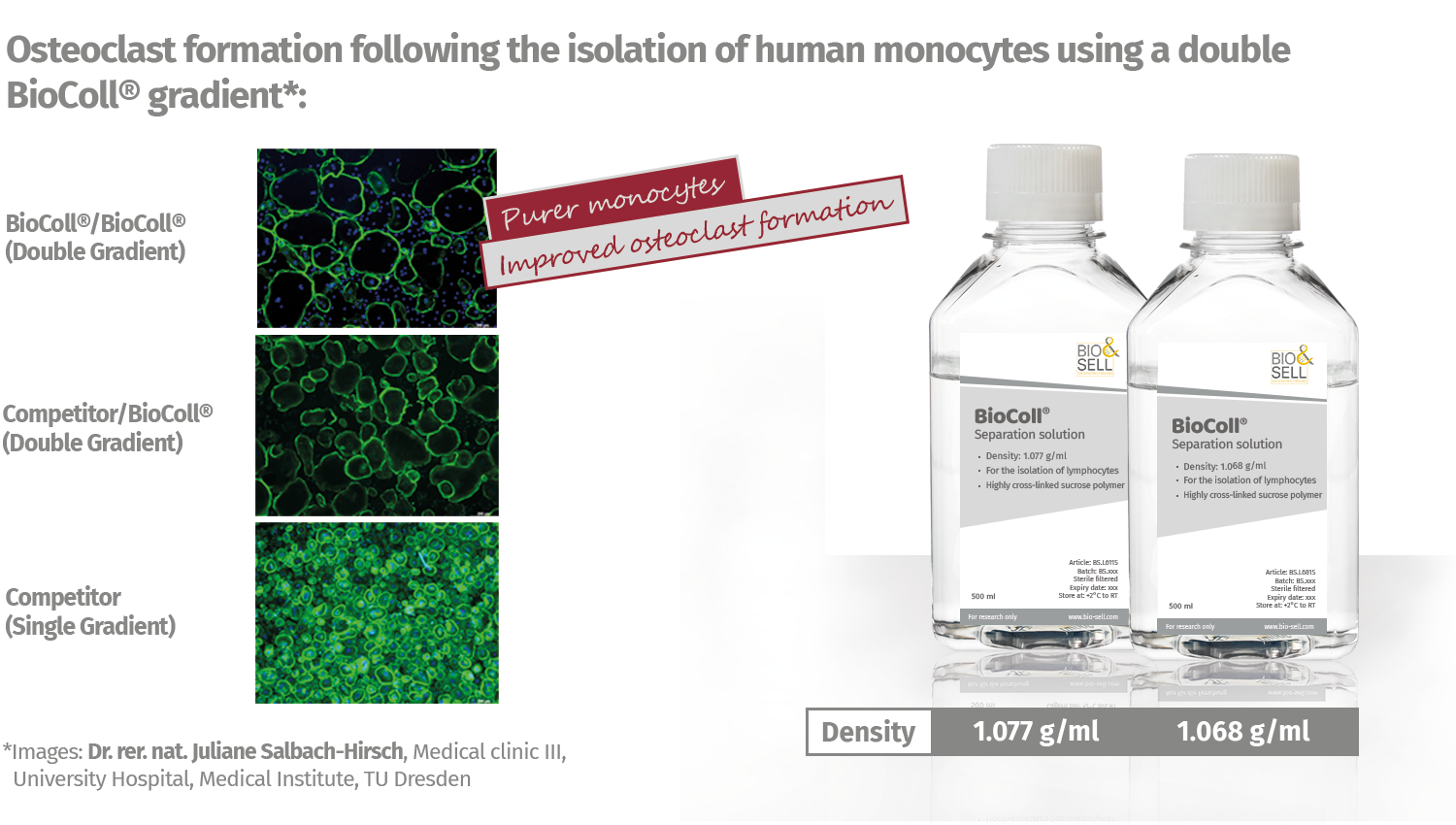Original_Data_BioColl_separation_solution_-_TU_Dresden.jpeg