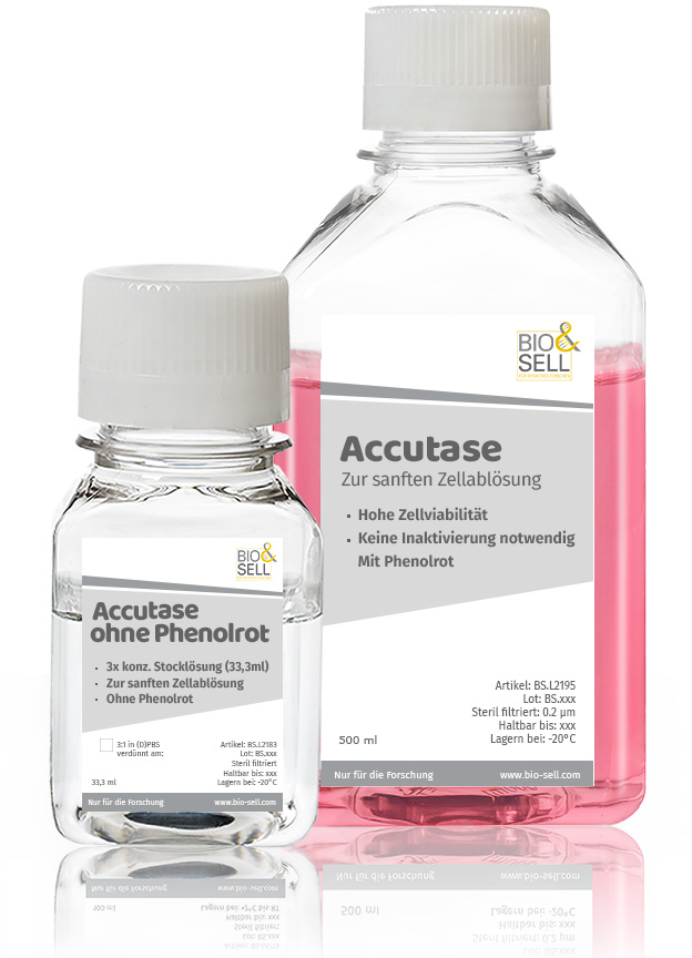 accutase-cell-detachment-lösung_mit-und-ohne-phenolrot
