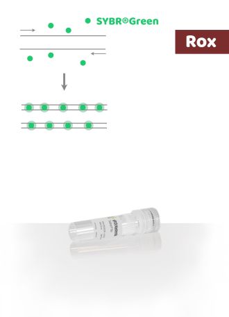 RT-qPCR Mastermix SYBR Green Rox