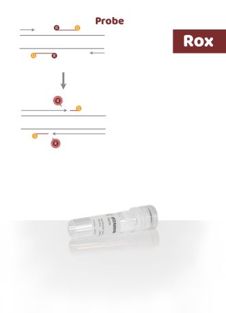RT-qPCR Mastermix Probe Rox